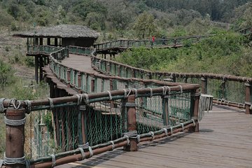 Airport to Hotel Pick Up with a Stop at Nairobi Safari Walk