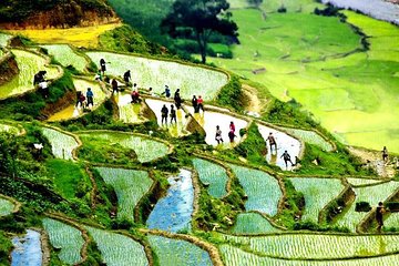 Sapa 2D1N All Included (Bus & Homestay)