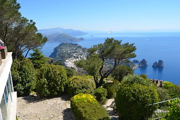 Capri and Blue Grotto Stress Free Day Tour with Kids from Sorrento