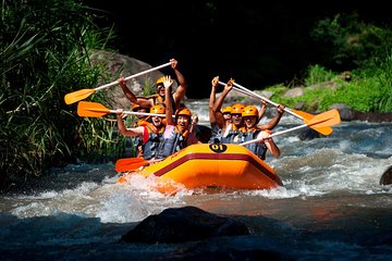 Bali Ayung River White Water Rafting with Transport