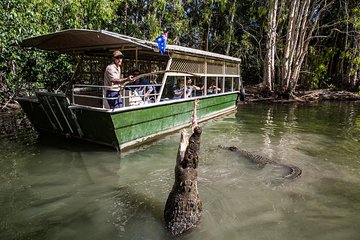 Hartley's Crocodile Adventures Day Trip from Palm Cove