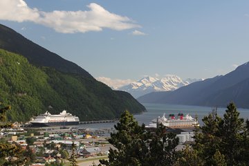 City and Mountain Summit Shore Excursion in Skagway