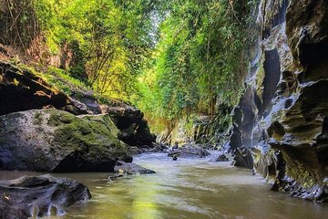 Ubud : Hidden Canyon Guwang Village and Ubud village Trips