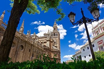 Seville Cathedral, Alcazar, and Jewish Quarter Skip-the-Line Combo Tour