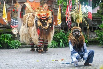  Ubud Village : Culture and Hidden Waterfalls