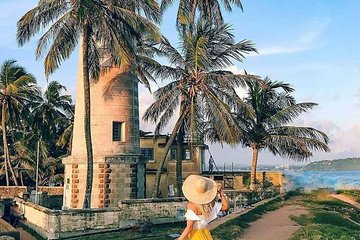 Galle Day Tour with Stilt Fishing Experience from Colombo