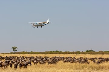 5 Day Group Joining- Mara, Nakuru & Naivasha