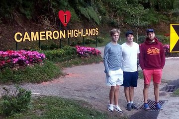 Cameron Highlands: Nature's Wonder Amazing Rafflesia Explorer