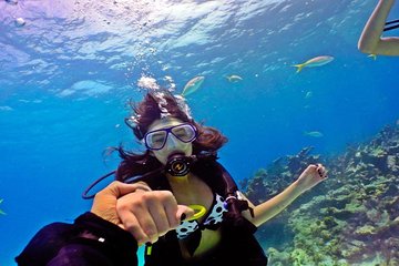 Hurghada: 6-Hour Dive Trip with Two Dive Sites