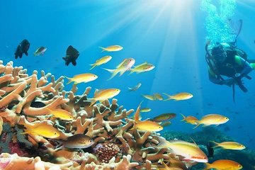 Day Scuba Diving From Marsaalam