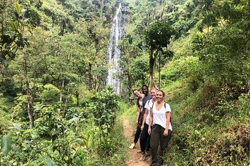 Materuni Waterfalls 