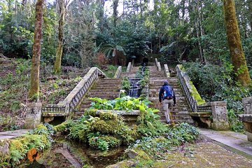 An adventure through the Forest and Palace of Bussaco - Coimbra