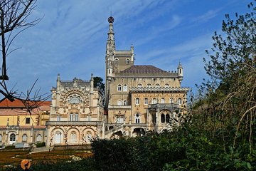 Aliança Underground Museum and Mata do Bussaco - Coimbra