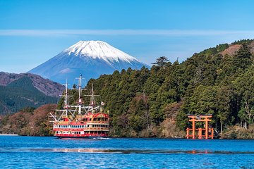 Mt Fuji and Hakone 1-Day Bus Tour Return by Bullet Train