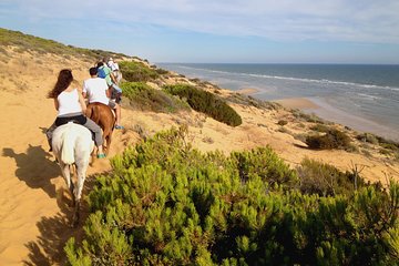 Donana National Park Horse or 4x4 Riding Day Trip