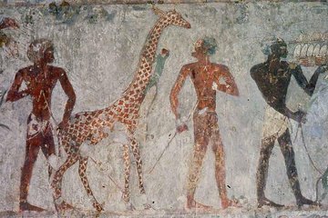 Luxor West Bank full day Private Tour