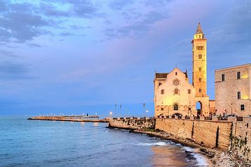 TRANI and Castel Del Monte UNESCO from your accomodation