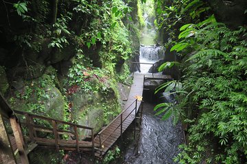 Quad or Buggy Tour with Canyon Tubing Adventure in Bali