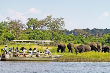 Explore Chobe National Park With a Day Trip from Victoria Falls