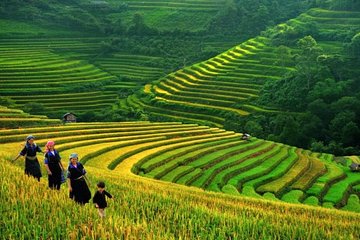 Hanoi-Sapa Trek 2 days 2 nights in Hotel with small group