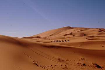 Morocco Desert Tour 8 Days Desert tour from Tangier to Marrakech