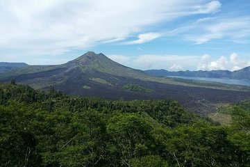 Best of Ubud - Kintamani Volcano View - Private Tour