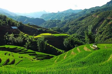 Sapa 3 Days 2 Nights Trekking Tour From Hanoi (2 Nights in Hotel)