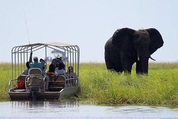 Chobe National Park Safari Full Day-trip