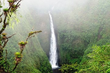 Arenal Volcano Experience Full-Day Tour from San Jose