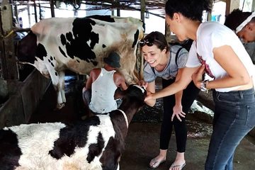 One day be Farmer and Master chef in Saigon