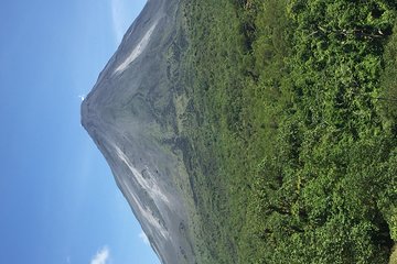 Arenal Volcano Hiking trail Observatory& Hot Spring+ lunch buffet