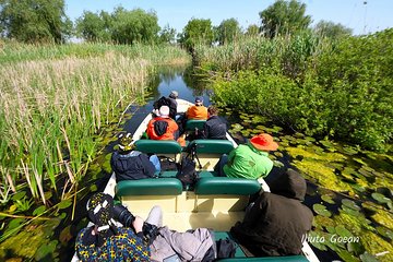 GROUP Guided Day Trip to the Danube Delta, Tulcea - Letea