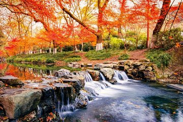 Half-Day Hangzhou Nine Creeks Hiking Tour with Tea Plantation Experience