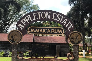 Appleton Rum Factory, YS Falls, and Reggae Horseback Ride & Swim Combo Tour