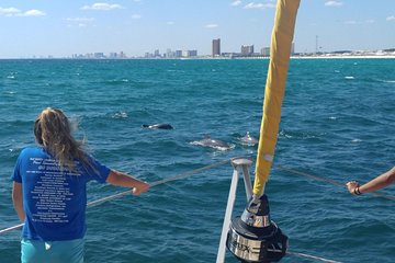 Panama City Beach Dolphin Sightseeing Sail