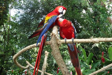 Auto Safari Chapin Drive-Through Nature Park & Zoo from Puerto Quetzal