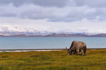 Jeep adventure through the Pamir Highway from Tajikistan to Kyrgyzstan