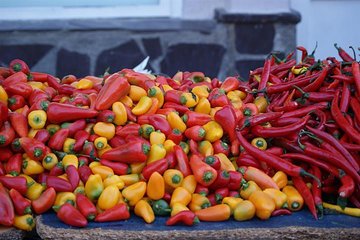 Private Walking Tour- Bites of History and Gastronomy 
