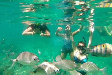 Trindade Village Tour