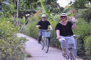 Mekong Delta deluxe group day trip