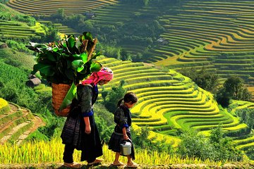 Sa Pa 2-Day Moderate Trek and Homestay Limousine Tour from Hanoi