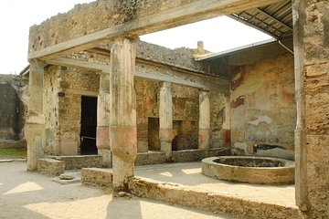 Pompeii and Naples with guide all day and tickets included