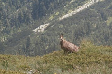 4 days in Pirin: Where the Slavic gods still live