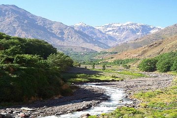 Private Day Trip to Ourika Waterfalls and Atlas Mountains