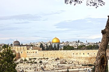 Holy Jerusalem Full Day Tour from Tel Aviv