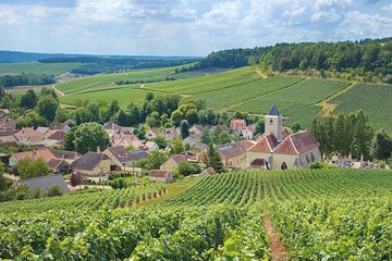 Champagne Tour