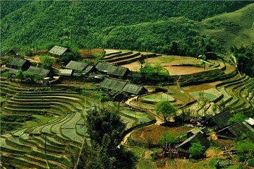 Hill tribe & Rice terraces 2 days 1 night