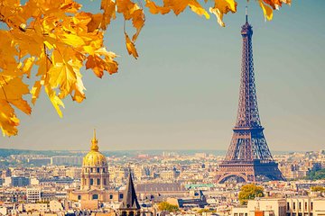 Paris by yourself (4-8h) with english speaking driver by MiniVan