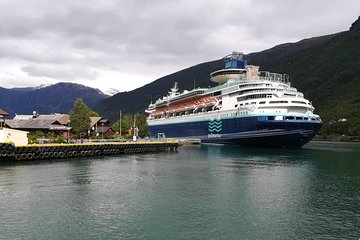 Cruise Special: Private Trip To Canyons And Waterfalls With Flåm Railway 