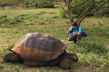 5-Day Galapagos Island Hopping Tour - Santa Cruz & Surroundings